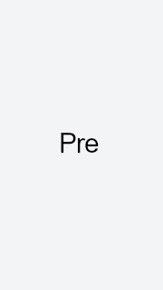 Placeholder block with text "Pre"